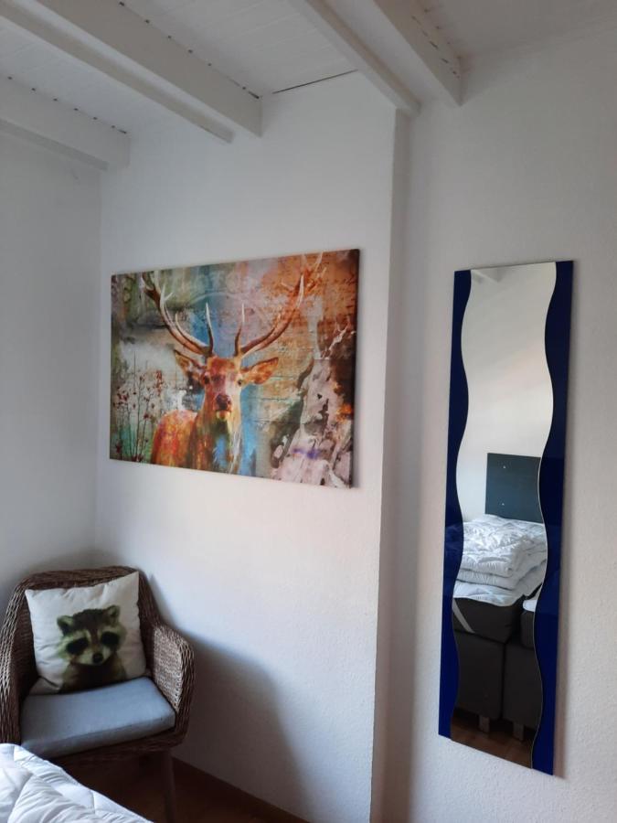Ferienwohnung Bodehexe 2 布劳恩拉格 外观 照片